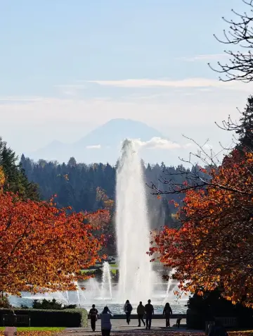 University of Washington's Stunning Golden Autumn