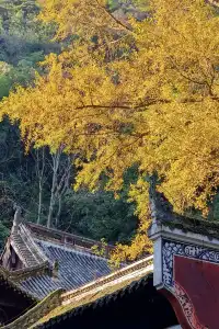 這一刻,沒有比飛雲崖更懂秋天的氣息