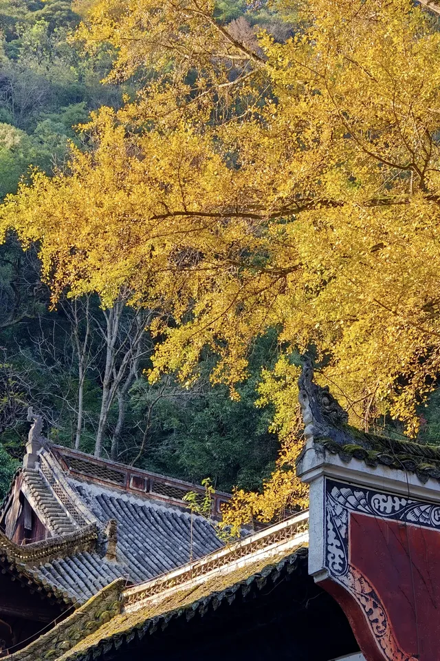 這一刻,沒有比飛雲崖更懂秋天的氣息 這一刻,沒有比飛雲崖更懂秋天的氣息