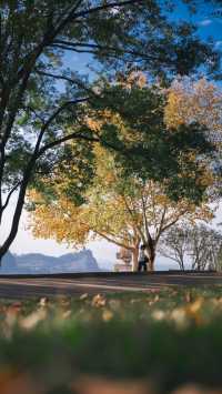 宜昌濱江:在長江岸線,邂逅老工業與深秋的詩意共鳴