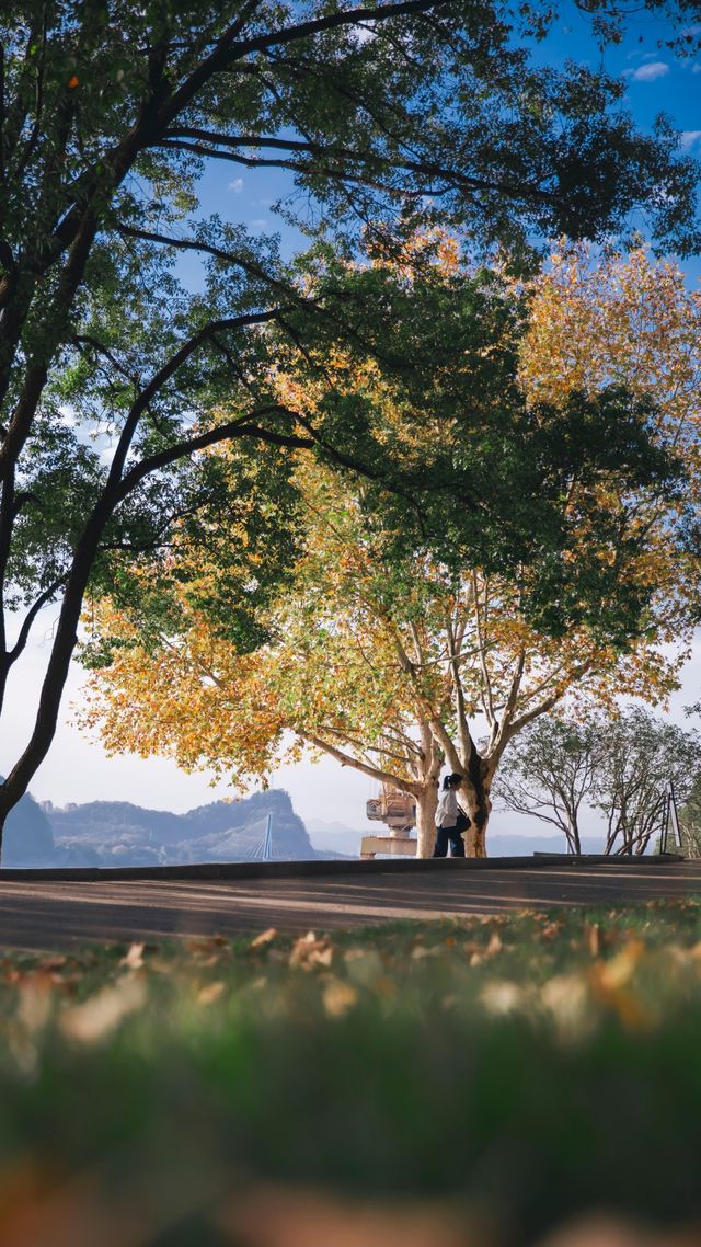 宜昌濱江:在長江岸線,邂逅老工業與深秋的詩意共鳴 宜昌濱江:在長江岸線,邂逅老工業與深秋的詩意共鳴