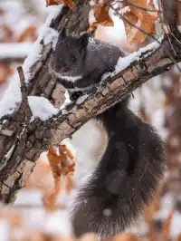 再吃，再吃就把你拍下來，放到網上去！
