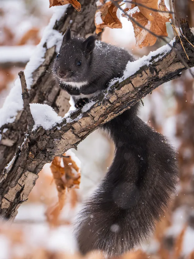 再吃，再吃就把你拍下來，放到網上去！