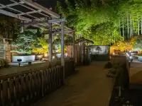 東京賞秋必看—昭和紀念公園銀杏燈光秀攻略