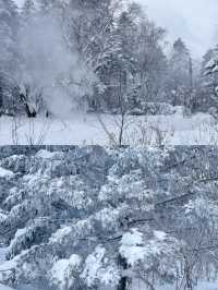 一場說走就走的雪嶺朝聖誰不愛這片北國雪鄉!