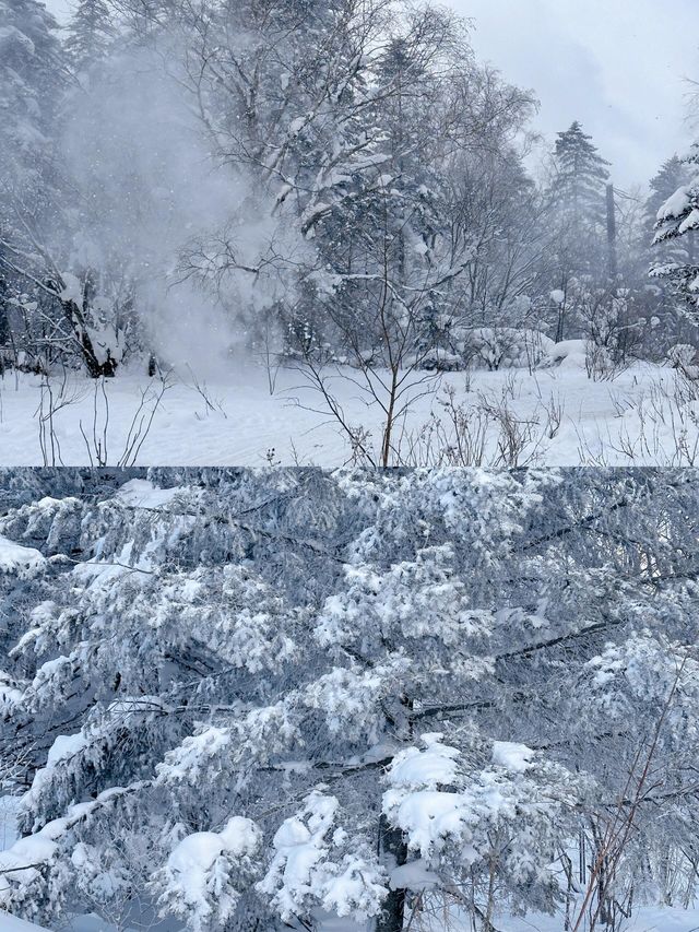 一場說走就走的雪嶺朝聖誰不愛這片北國雪鄉! 一場說走就走的雪嶺朝聖誰不愛這片北國雪鄉!