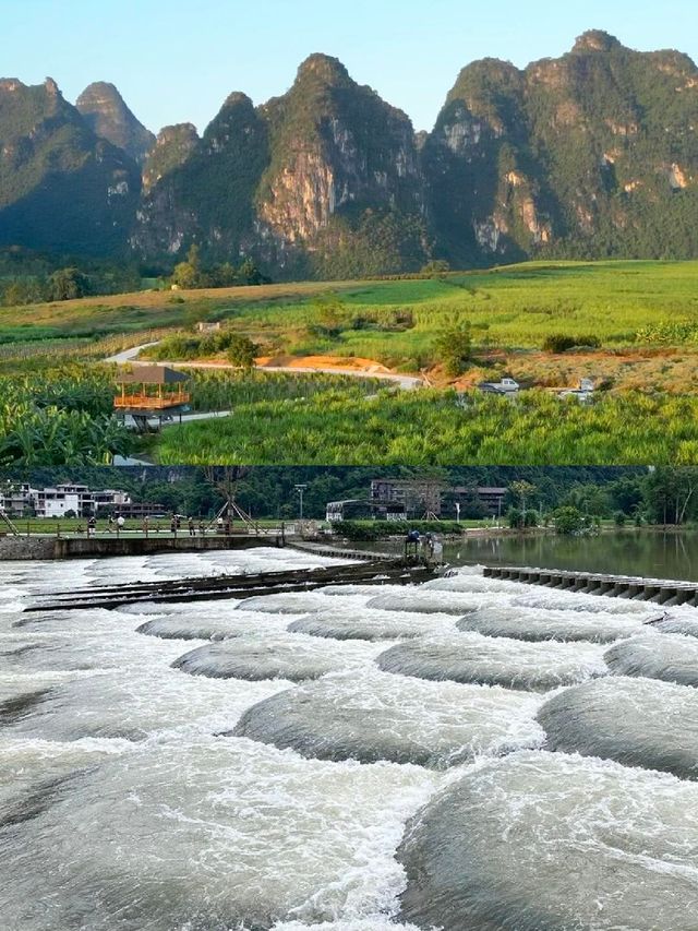 12-3月去廣西崇左一點都不累比迪士尼好玩 12-3月去廣西崇左一點都不累比迪士尼好玩