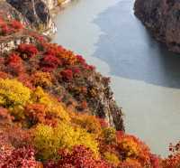 11月老牛灣,黃河峽谷的初冬私語