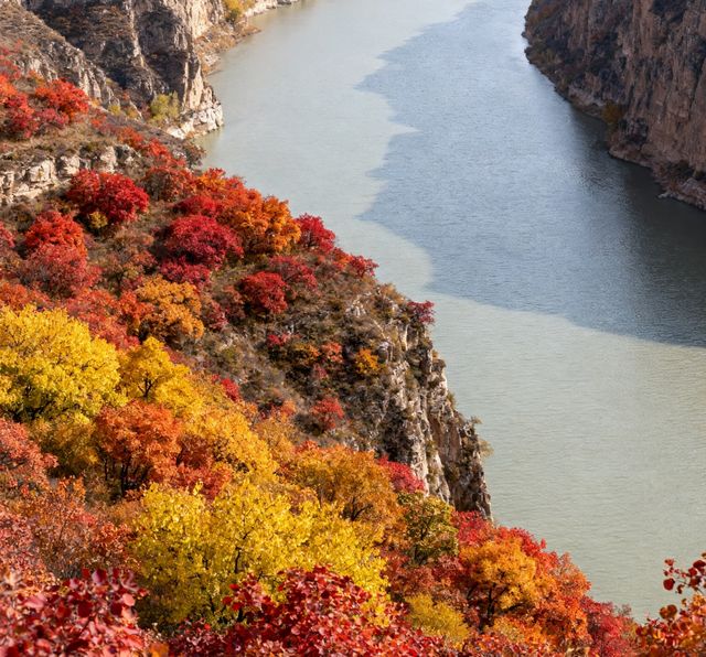 11月老牛灣,黃河峽谷的初冬私語 11月老牛灣,黃河峽谷的初冬私語