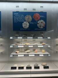 武漢 / 中國地質大學逸夫博物館