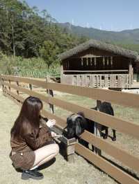 深圳周邊溫泉|不愧是惠州週末爆滿的民宿