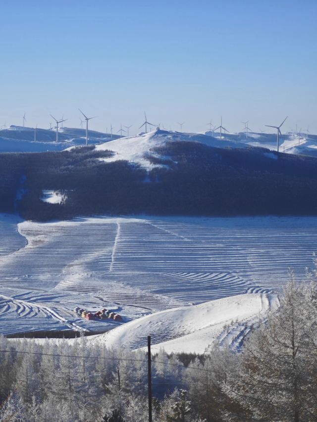 各位驢友，快來交換你們的樺皮嶺雪景圖|||樺皮嶺的