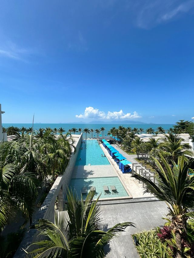 Dreamy Sunsets at Hotel Explorar 🌅