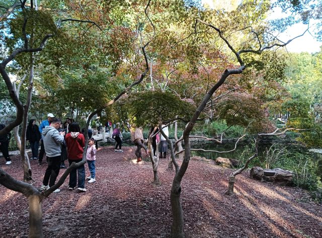 小橋流水古風祕境
