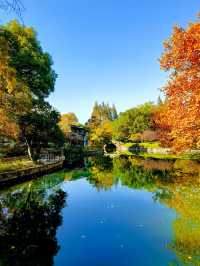 上海楊浦免費賞秋地