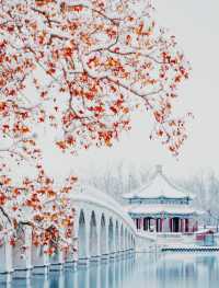 12月旅行清單！5個目的地承包你的冬日浪漫