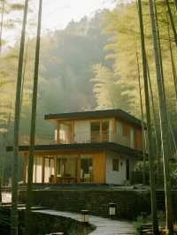 初冬宜興遛娃竹海秘境親子遊,帶娃解鎖慢生活