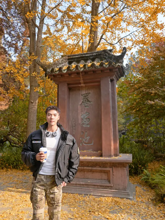 Enjoy Autumn at Yanhua Pond in Chongzhou, Follow the 1987 Version of Dream of the Red Chamber to Tour the Garden