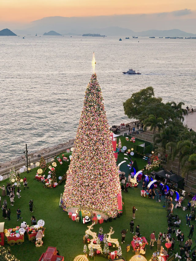 Hong Kong Christmas Vibes Are NEXT LEVEL! 🎄 Must-Visit Trees + Insta-Ready Spots 📸