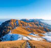 海拔1918米跨年音樂會!武功山高山跨年攻略來啦