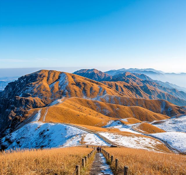 海拔1918米跨年音樂會!武功山高山跨年攻略來啦 海拔1918米跨年音樂會!武功山高山跨年攻略來啦