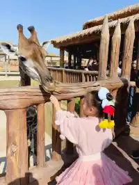 南昌周邊遊|遛娃天花板唯美動物世界