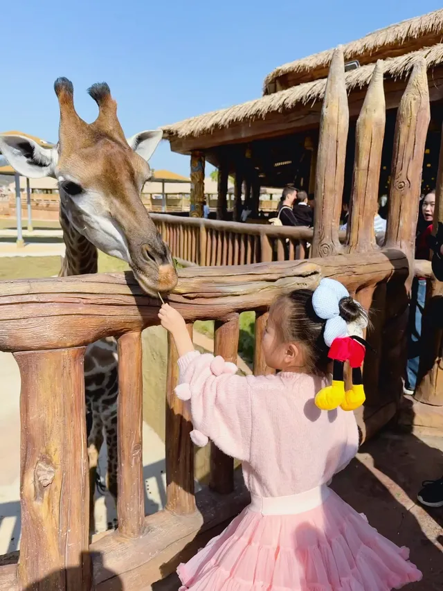 南昌周邊遊|遛娃天花板唯美動物世界 南昌周邊遊|遛娃天花板唯美動物世界