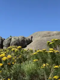 歡迎來到夏天的長白山