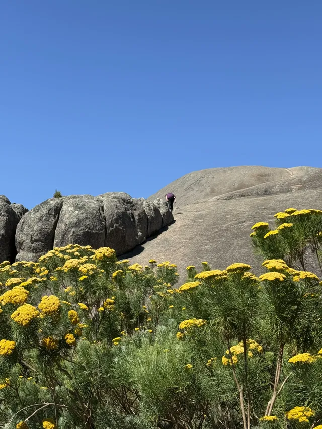 歡迎來到夏天的長白山