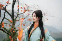 誰還沒去大貴州拍柿子？朋友問了10000次