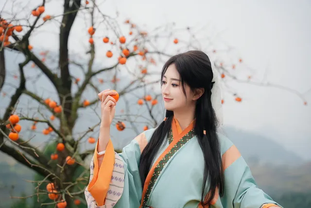 誰還沒去大貴州拍柿子？朋友問了10000次