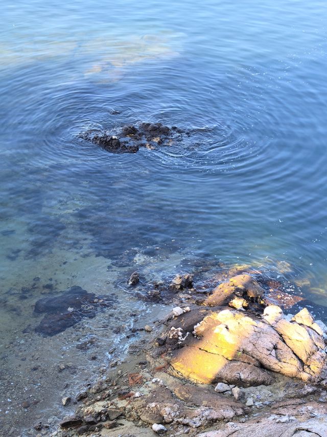 千島湖不登島不進景區直接酒店躺平…