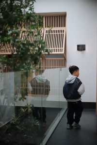 躺看洞庭湖日落絕美