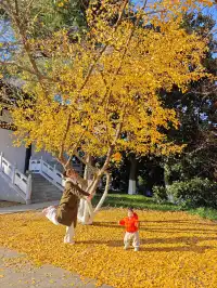 你是來拉屎的吧?!