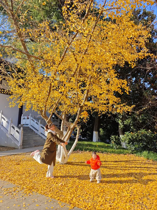 你是來拉屎的吧?! 你是來拉屎的吧?!