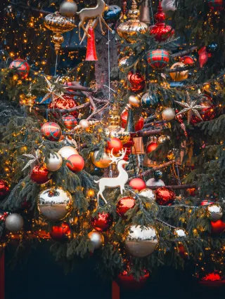 Oakville | Took a few casual shots while passing by