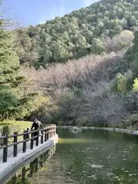 又是做大自然小孩的一天…