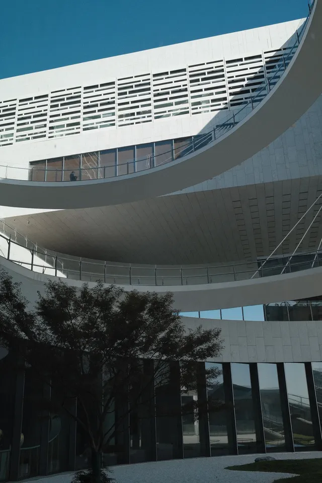 穿越時空的藝術盛宴上海博物館東館必看展