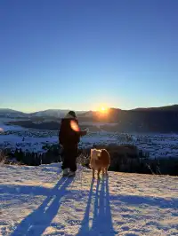 今日份禾木日出，絕美