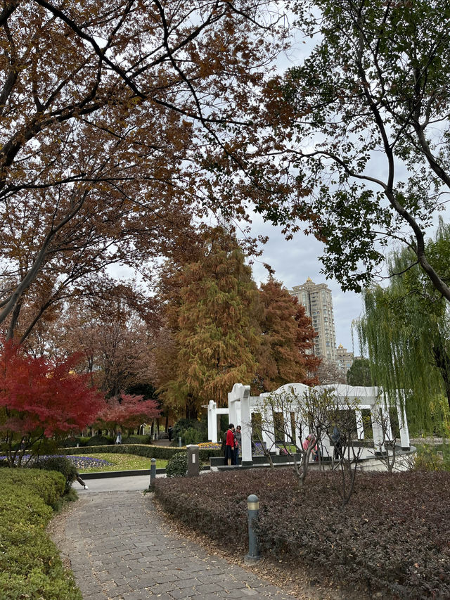 我打卡了新虹橋中心花園