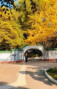 CSU中南也有自己的天空之城!神秘之地!