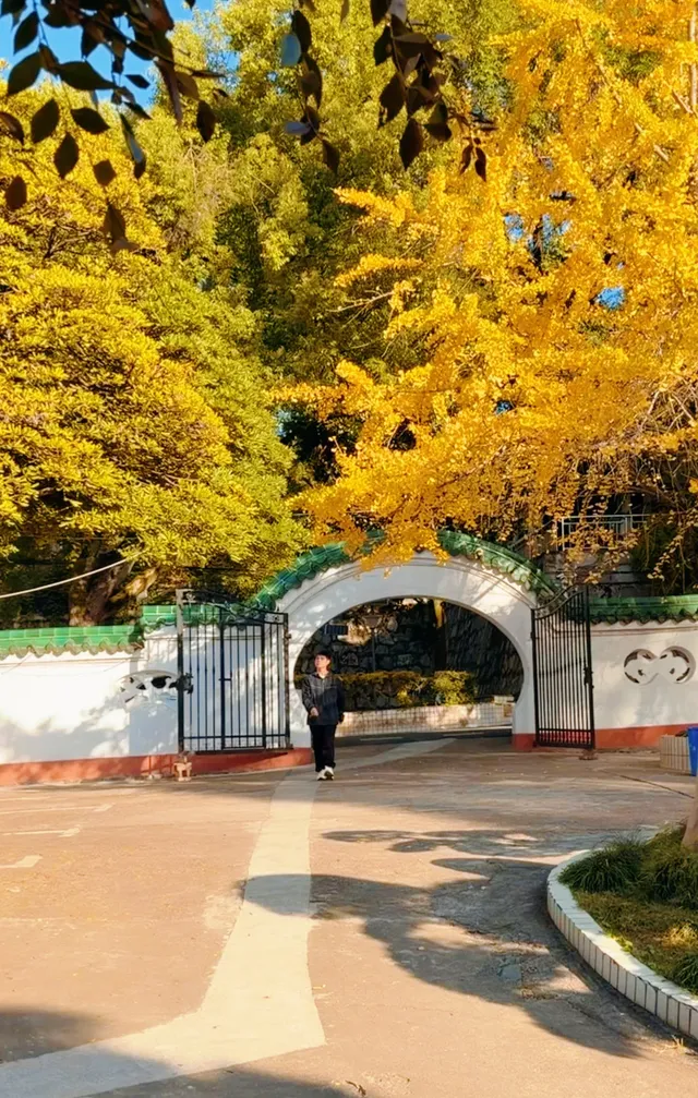 CSU中南也有自己的天空之城!神秘之地! CSU中南也有自己的天空之城!神秘之地!