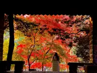 12.5號實拍 | 魯迅公園週末應該會有萬人參觀