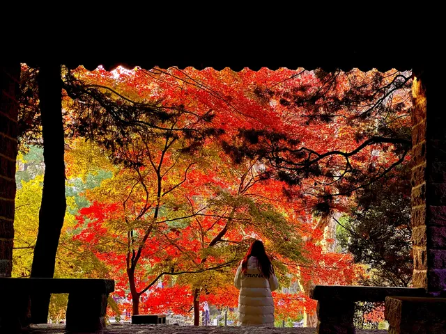 12.5號實拍 | 魯迅公園週末應該會有萬人參觀