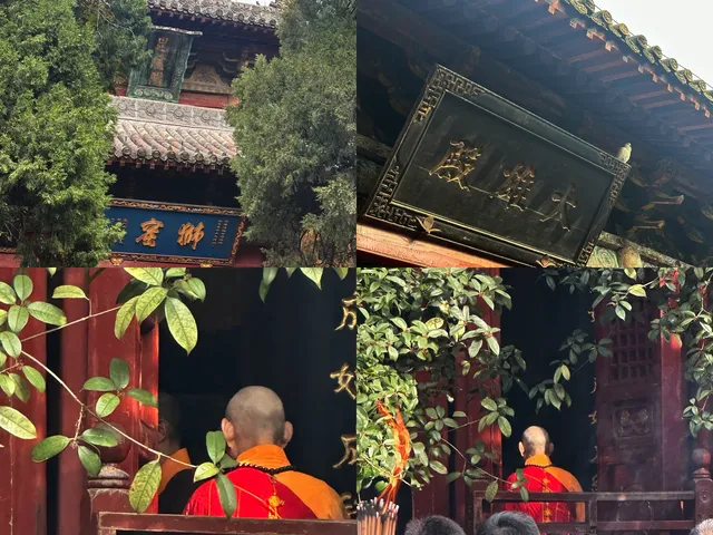 洛陽白馬寺也太寶藏了