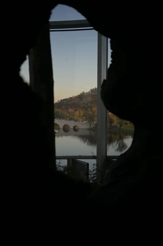 日落前入園！溫室花園日夜場一次看完