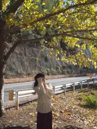 麗江|神女的眼淚-瀘沽湖