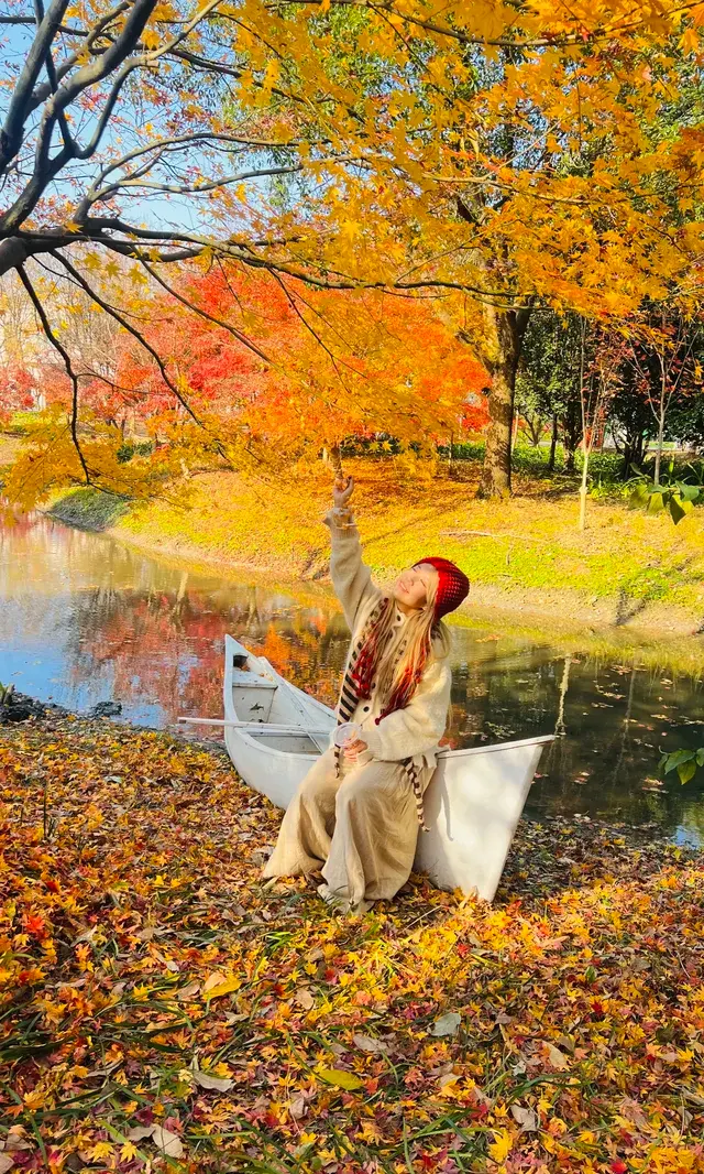 不誇張這是上海拍楓葉最美的公園了 不誇張這是上海拍楓葉最美的公園了