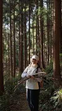 墜入「暮光森林」平陽滿田森林公園