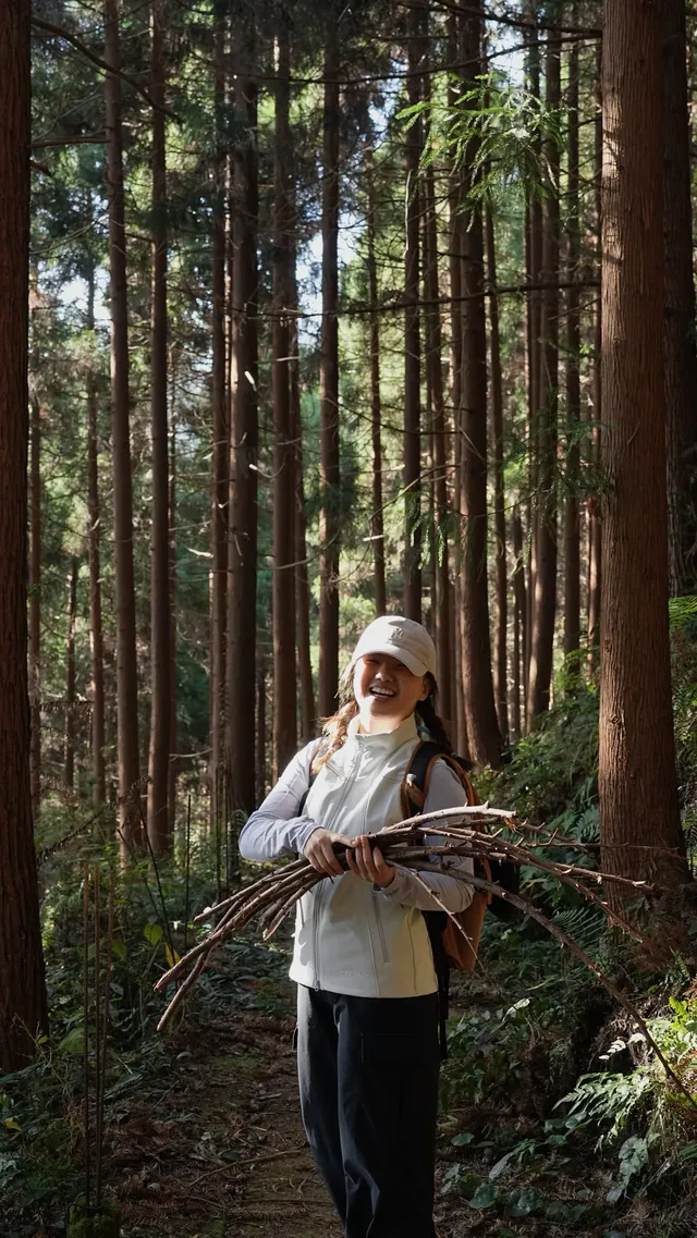 墜入「暮光森林」平陽滿田森林公園 墜入「暮光森林」平陽滿田森林公園